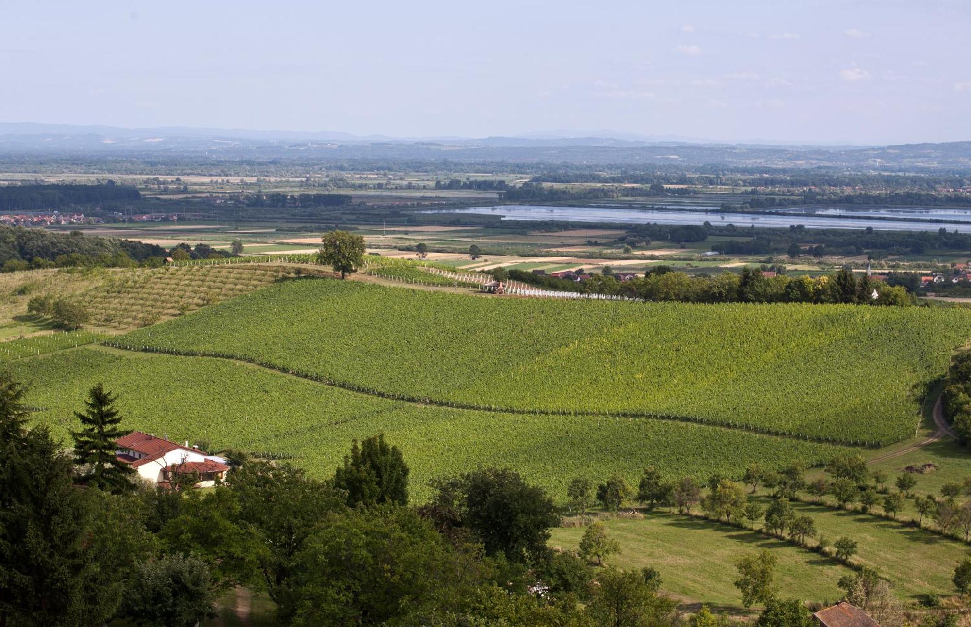 Stupnicki Dvori Winery Hotel Stupnik Brodski Exterior foto